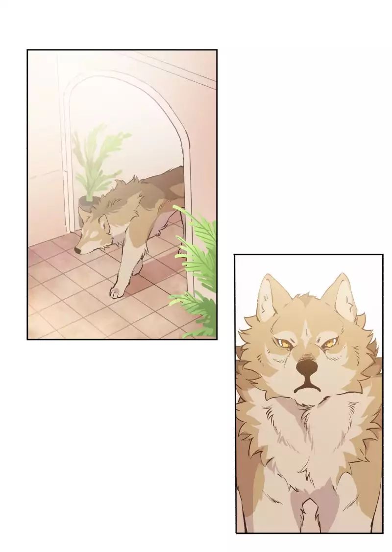 LUMINE – Manhwa chapter 45 - page 29