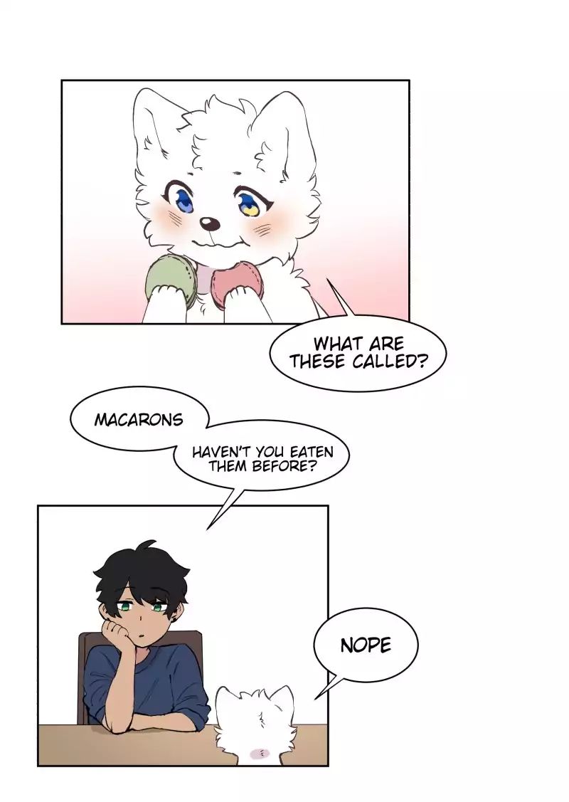 LUMINE – Manhwa chapter 46 - page 12