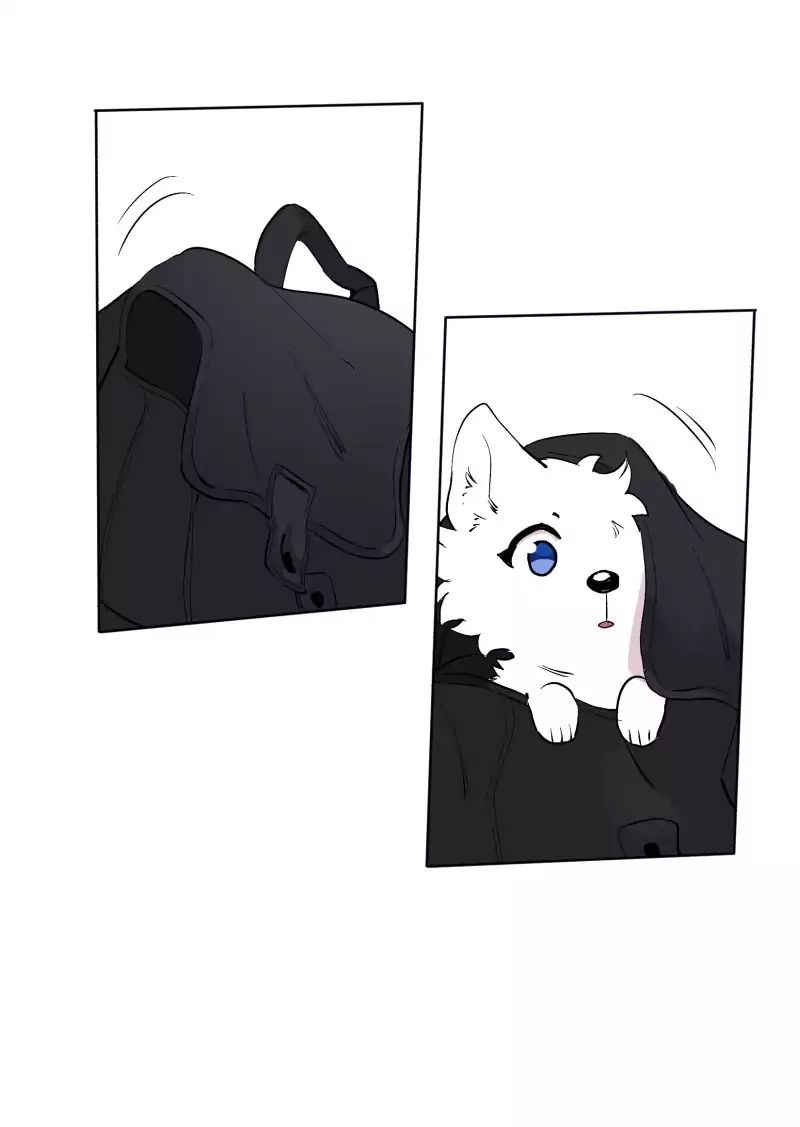 LUMINE – Manhwa chapter 47 - page 21
