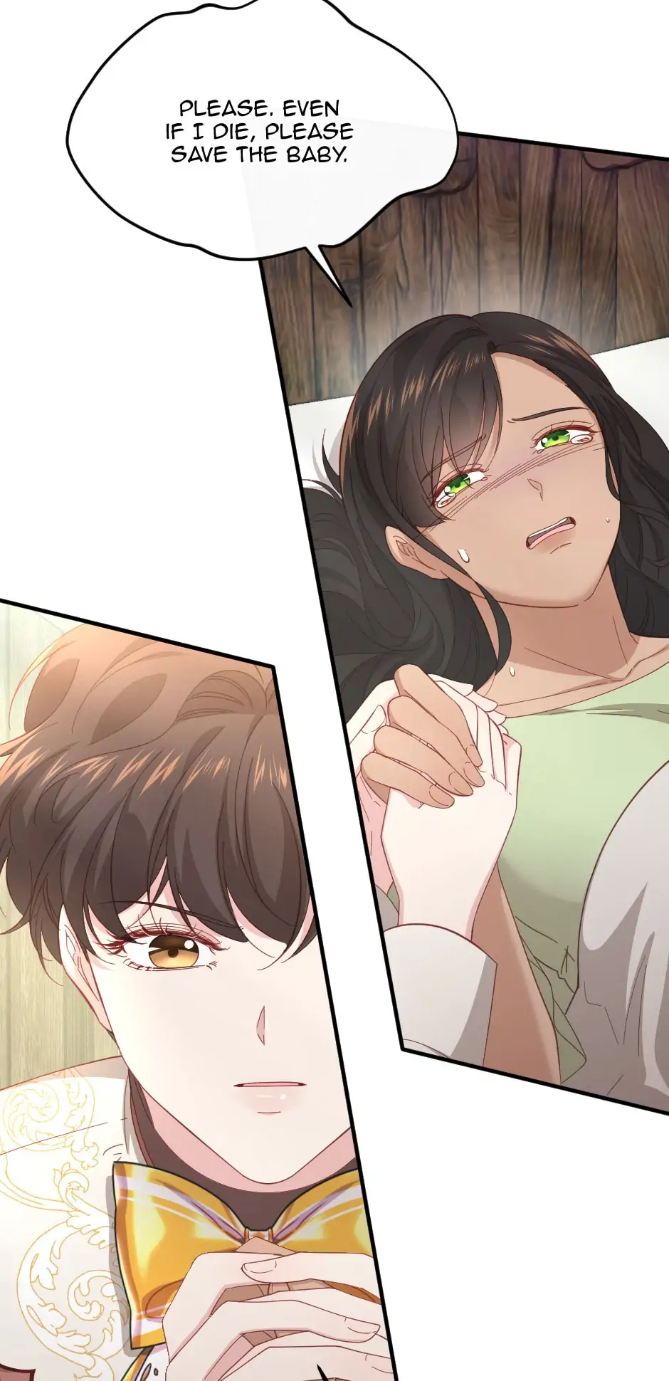 The Prince’s Personal Physician chapter 39 - page 15