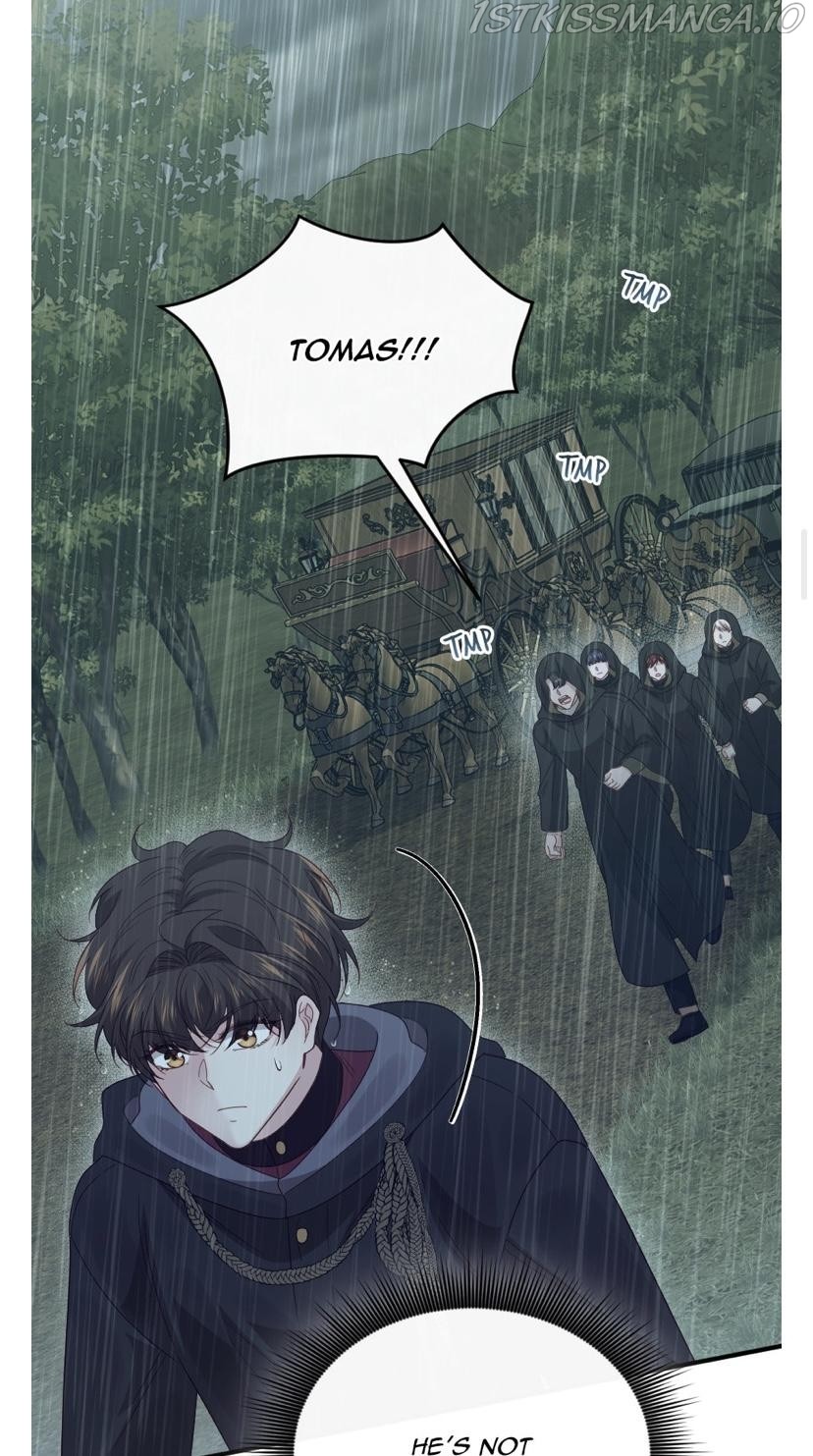 The Prince’s Personal Physician chapter 49 - page 17