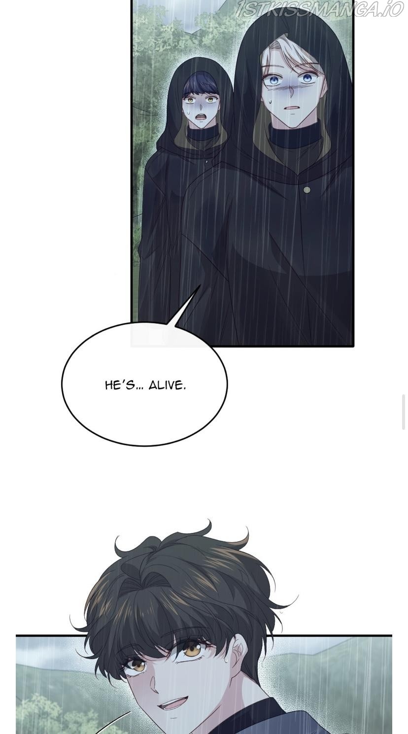 The Prince’s Personal Physician chapter 49 - page 30