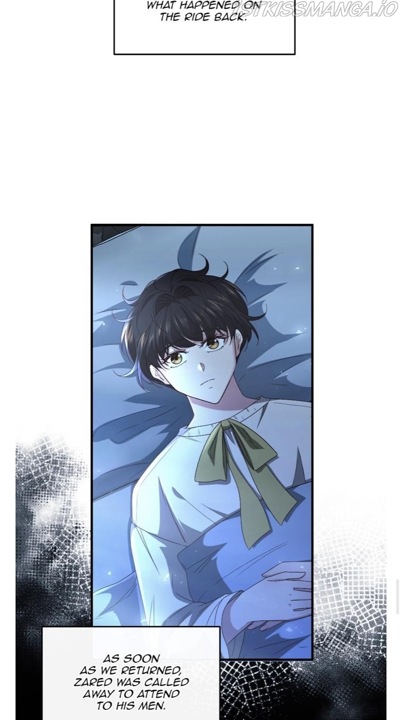 The Prince’s Personal Physician chapter 49 - page 50