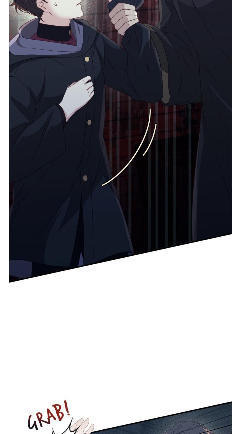 The Prince’s Personal Physician chapter 48 - page 33