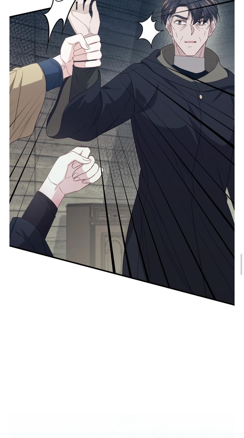 The Prince’s Personal Physician chapter 48 - page 34