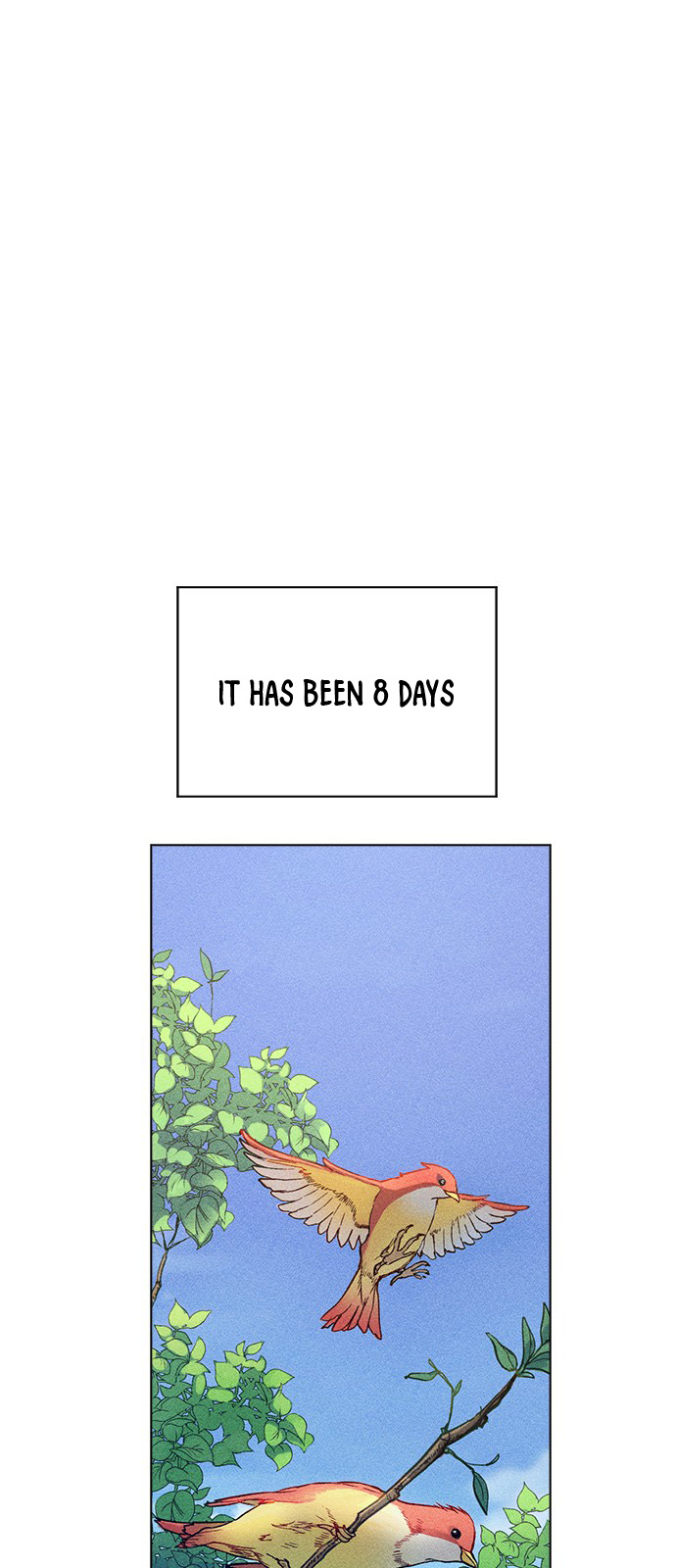 Housekeeper – Manhwa Chapter 15 - page 12