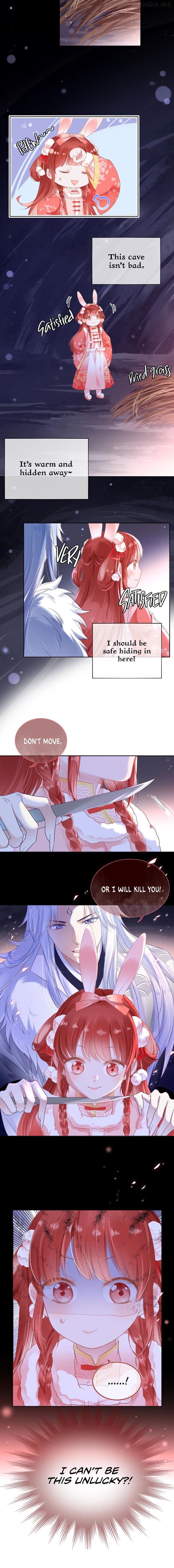 Cynical Master Raises Rabbit Spirit Chapter 1 - page 15