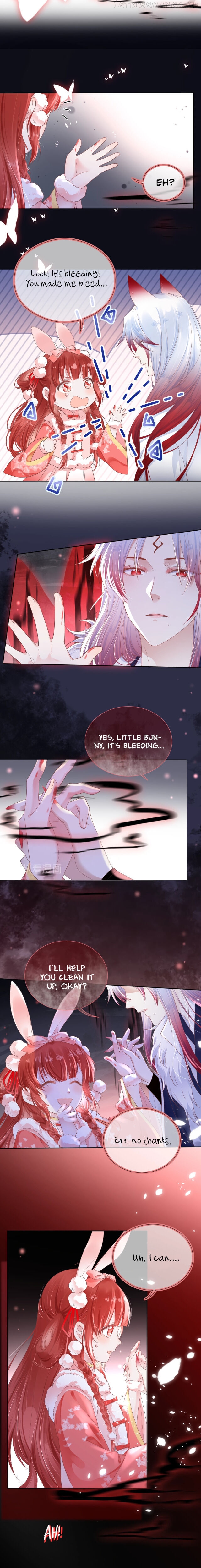 Cynical Master Raises Rabbit Spirit Chapter 1 - page 4
