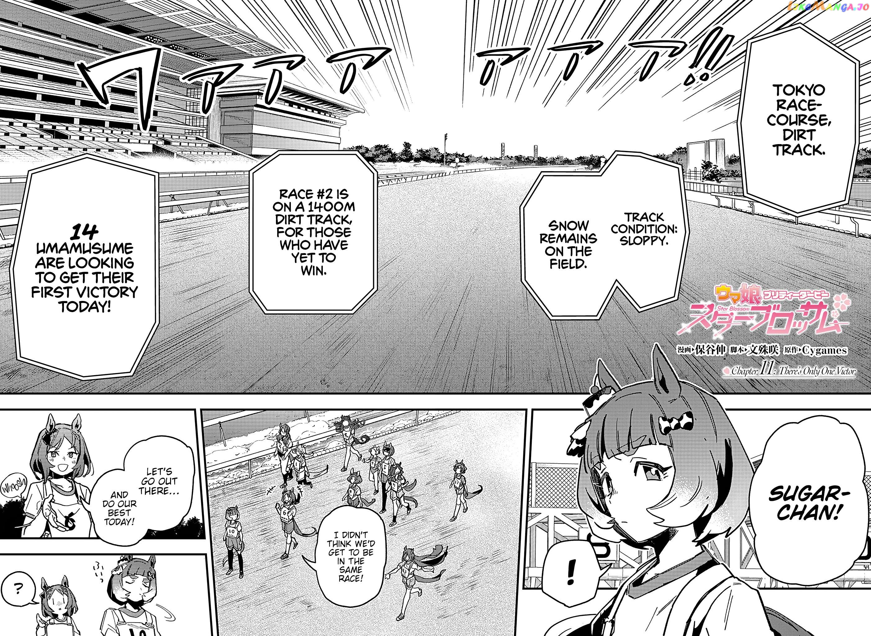 Uma Musume Pretty Derby Star Blossom Chapter 11 - page 2