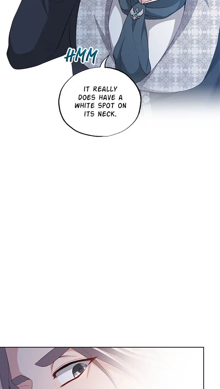 The Archvillain's Young Patron Chapter 36 - page 28