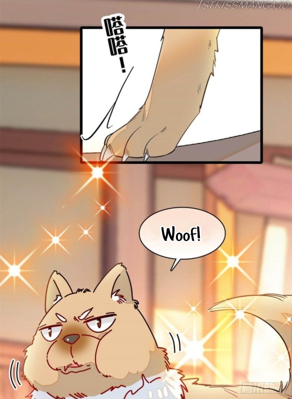 Sijin – Manhua chapter 193.5 - page 42
