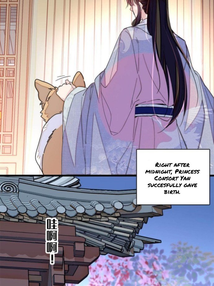Sijin – Manhua chapter 236 - page 6