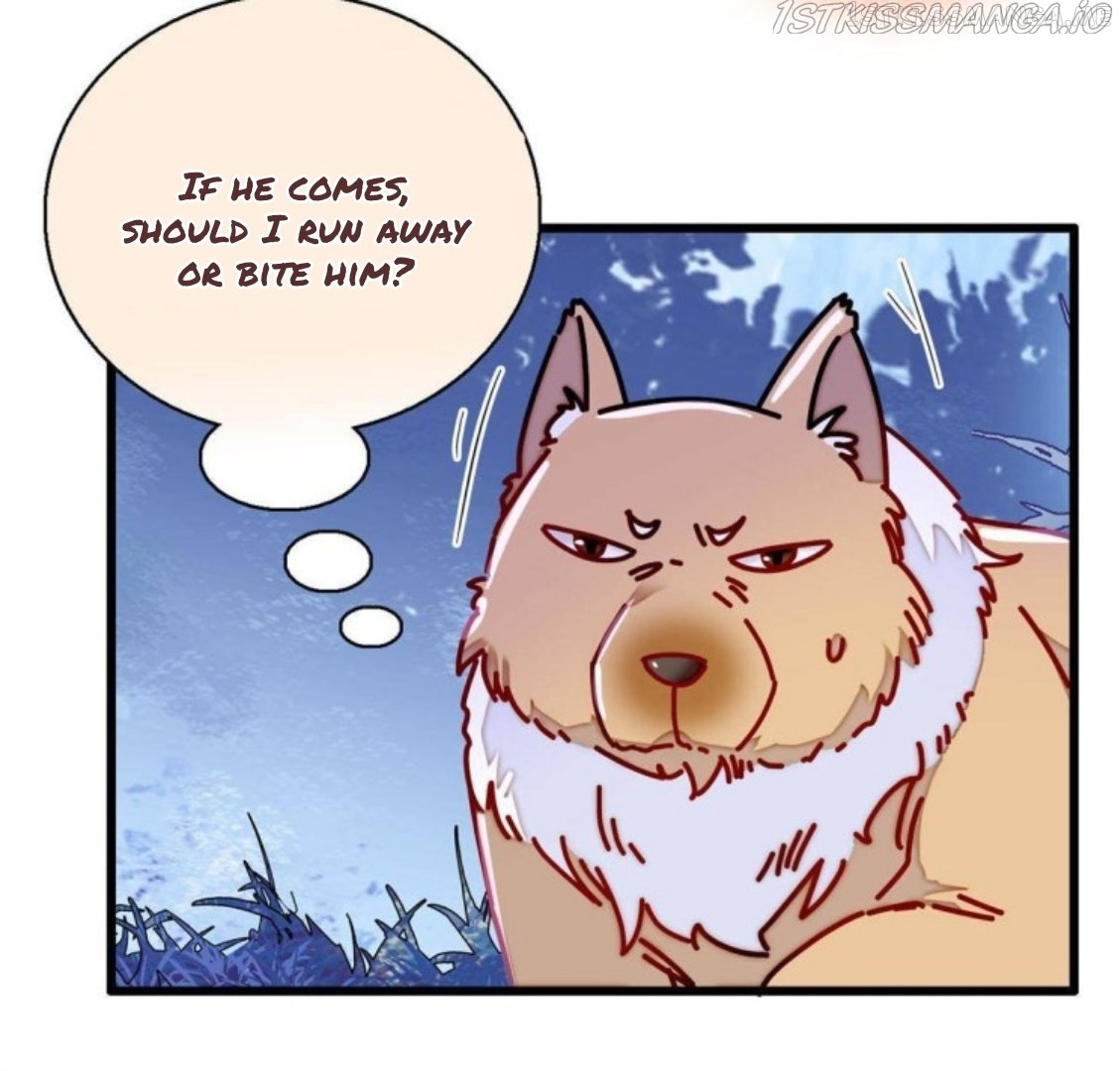 Sijin – Manhua chapter 234.5 - page 12