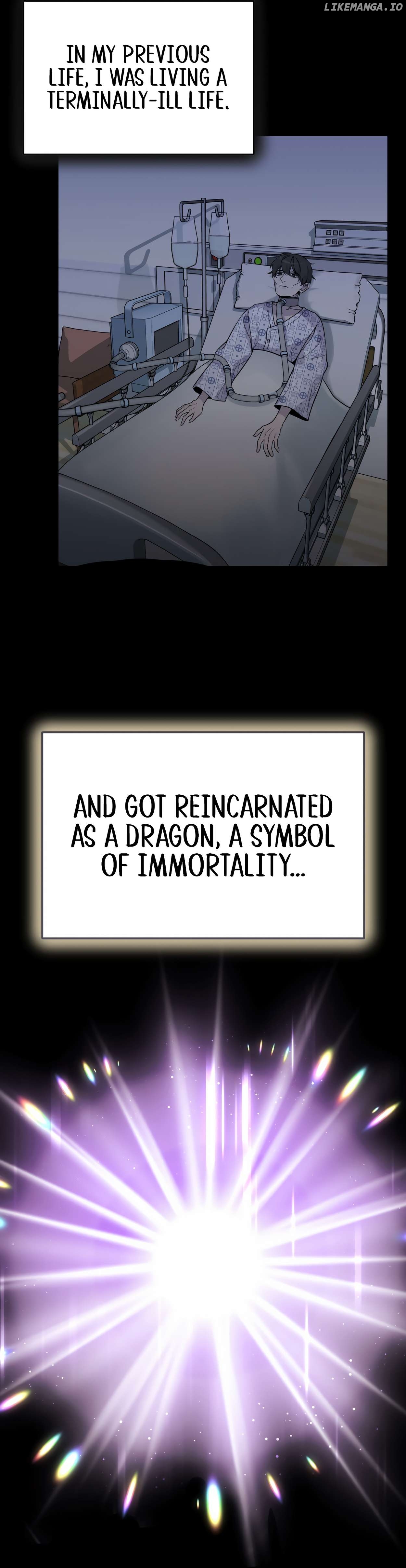 How to Survive as a terminally-ill Dragon Chapter 0.1 - page 11
