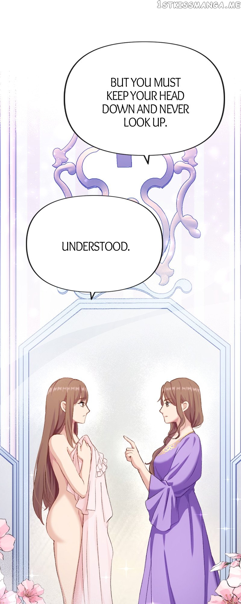 A Deceiving Bride and The Fierce Lion Chapter 11 - page 49