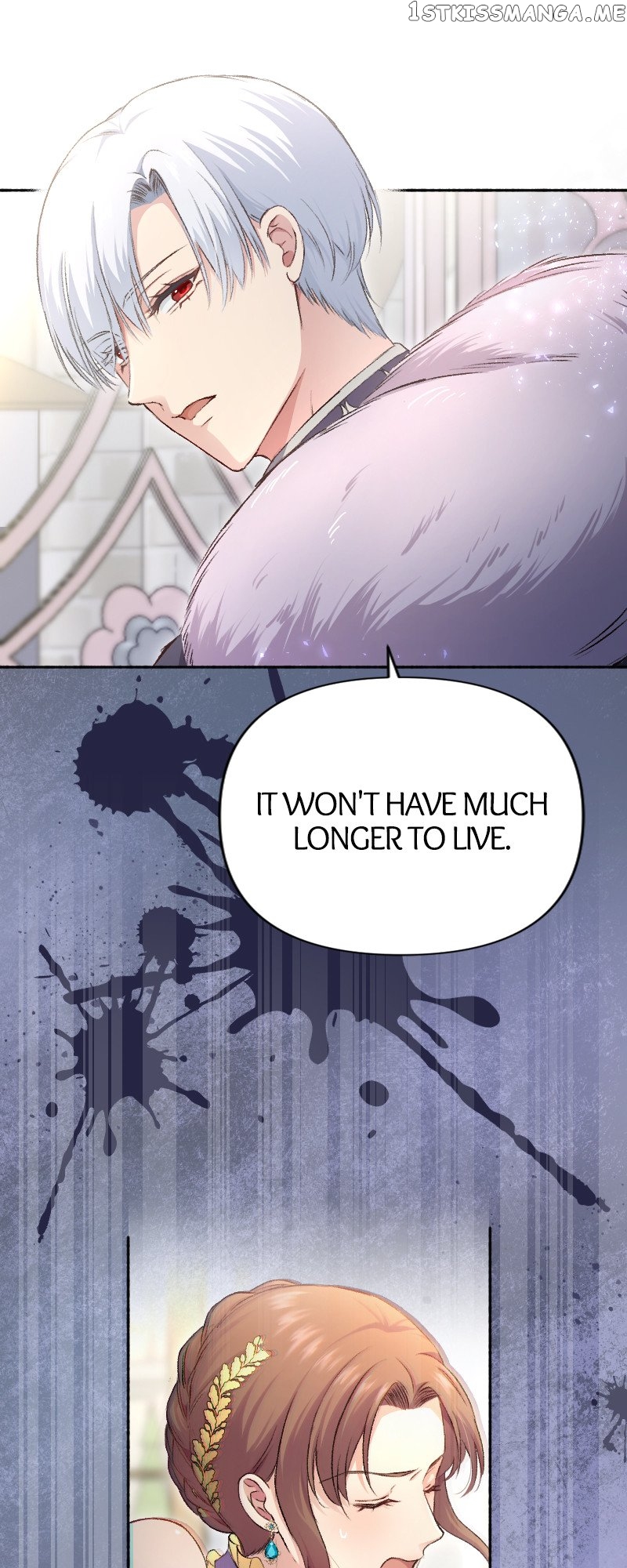 A Deceiving Bride and The Fierce Lion Chapter 19 - page 17