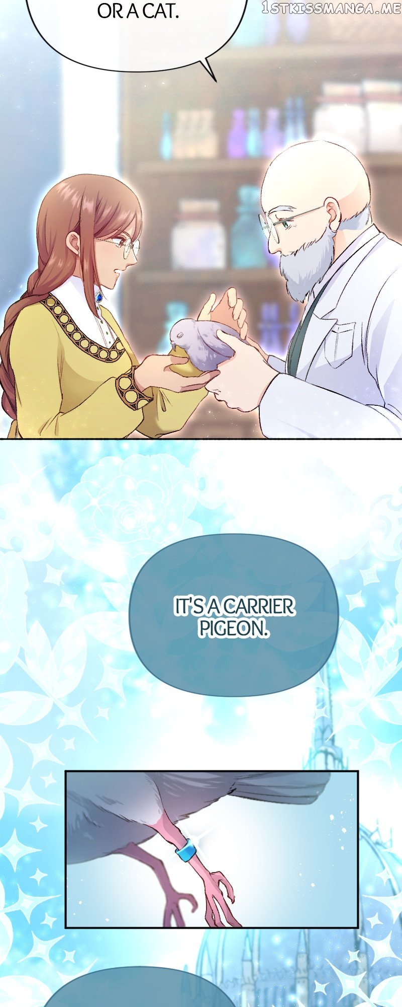 A Deceiving Bride and The Fierce Lion Chapter 19 - page 34