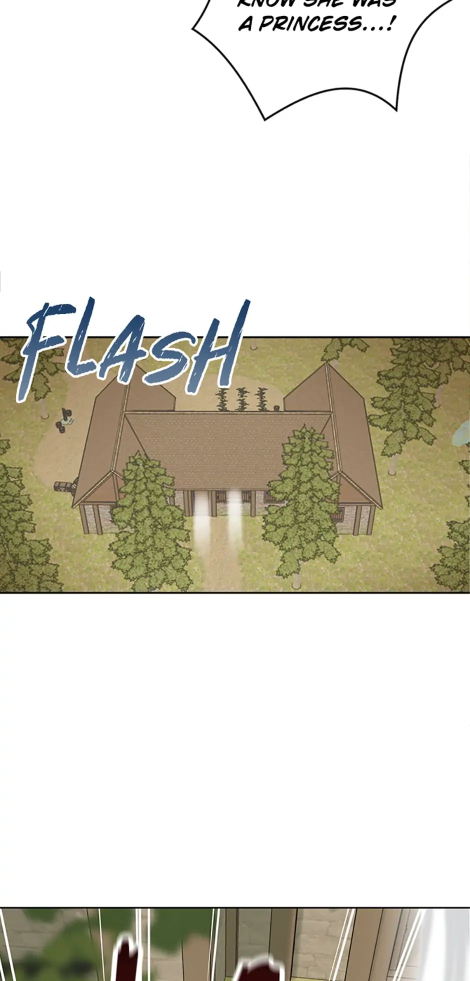 Surviving as an Illegitimate Princess Chapter 2 - page 52