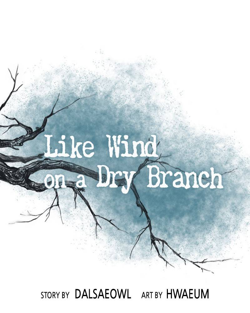 Like A Wind On A Dry Branch chapter 23 - page 1