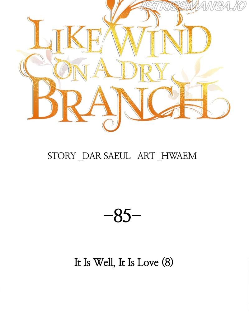Like A Wind On A Dry Branch chapter 85 - page 75