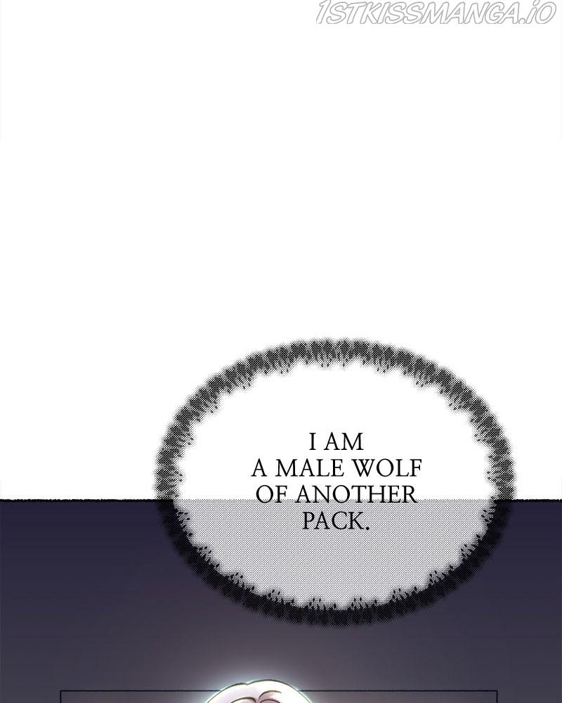 Like A Wind On A Dry Branch chapter 83 - page 52