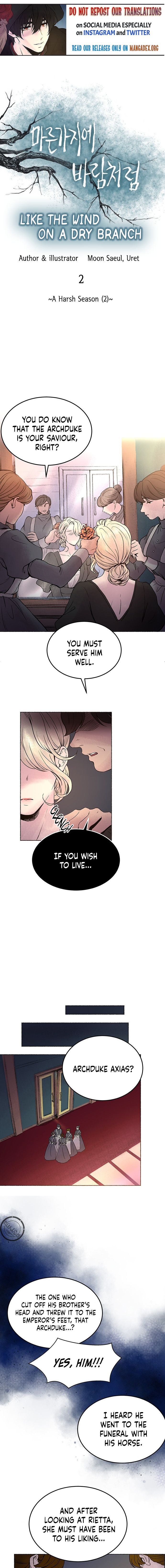 Like A Wind On A Dry Branch chapter 2 - page 1