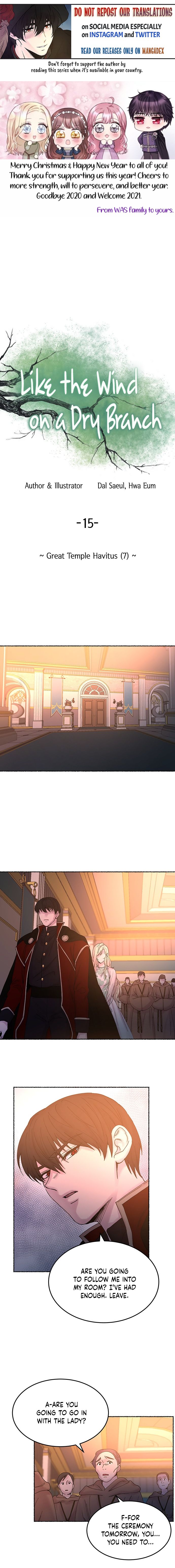 Like A Wind On A Dry Branch chapter 15 - page 1