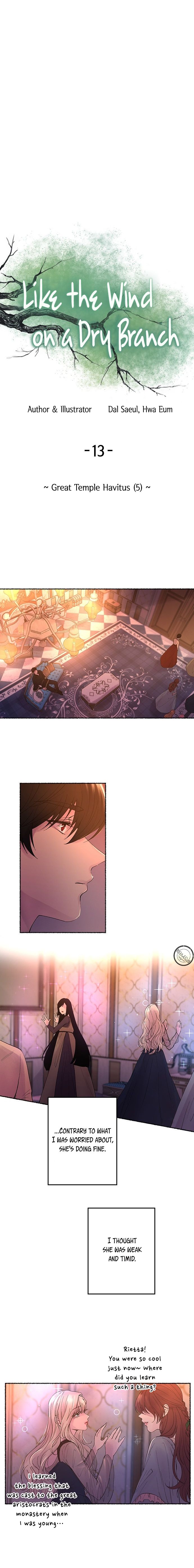 Like A Wind On A Dry Branch chapter 13 - page 7