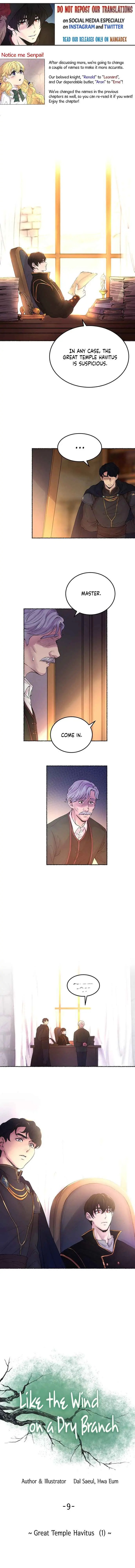 Like A Wind On A Dry Branch chapter 9 - page 1