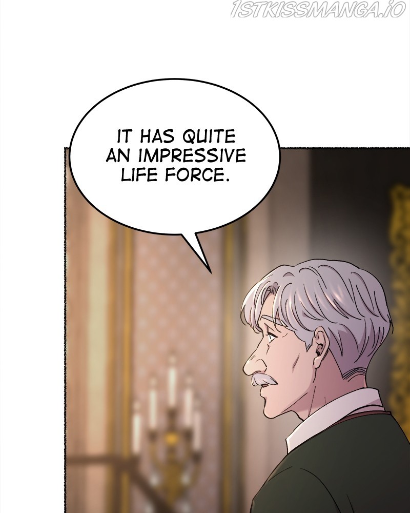 Like A Wind On A Dry Branch chapter 94 - page 110