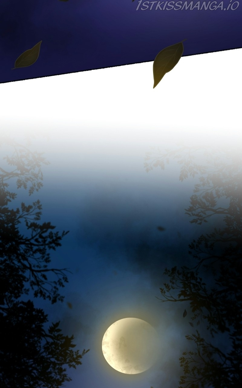 Like A Wind On A Dry Branch chapter 105 - page 50