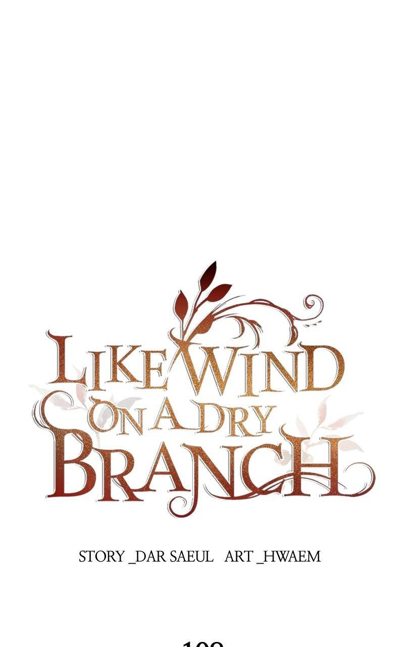 Like A Wind On A Dry Branch Chapter 108 - page 67