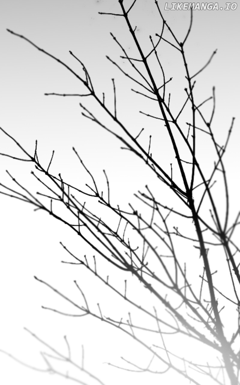 Like A Wind On A Dry Branch Chapter 157 - page 163