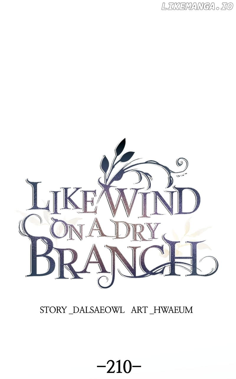 Like A Wind On A Dry Branch Chapter 212 - page 1