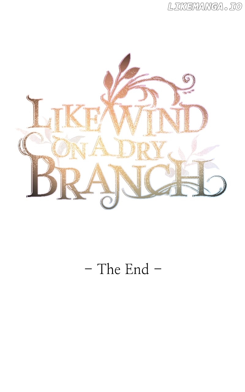 Like A Wind On A Dry Branch Chapter 213 - page 145