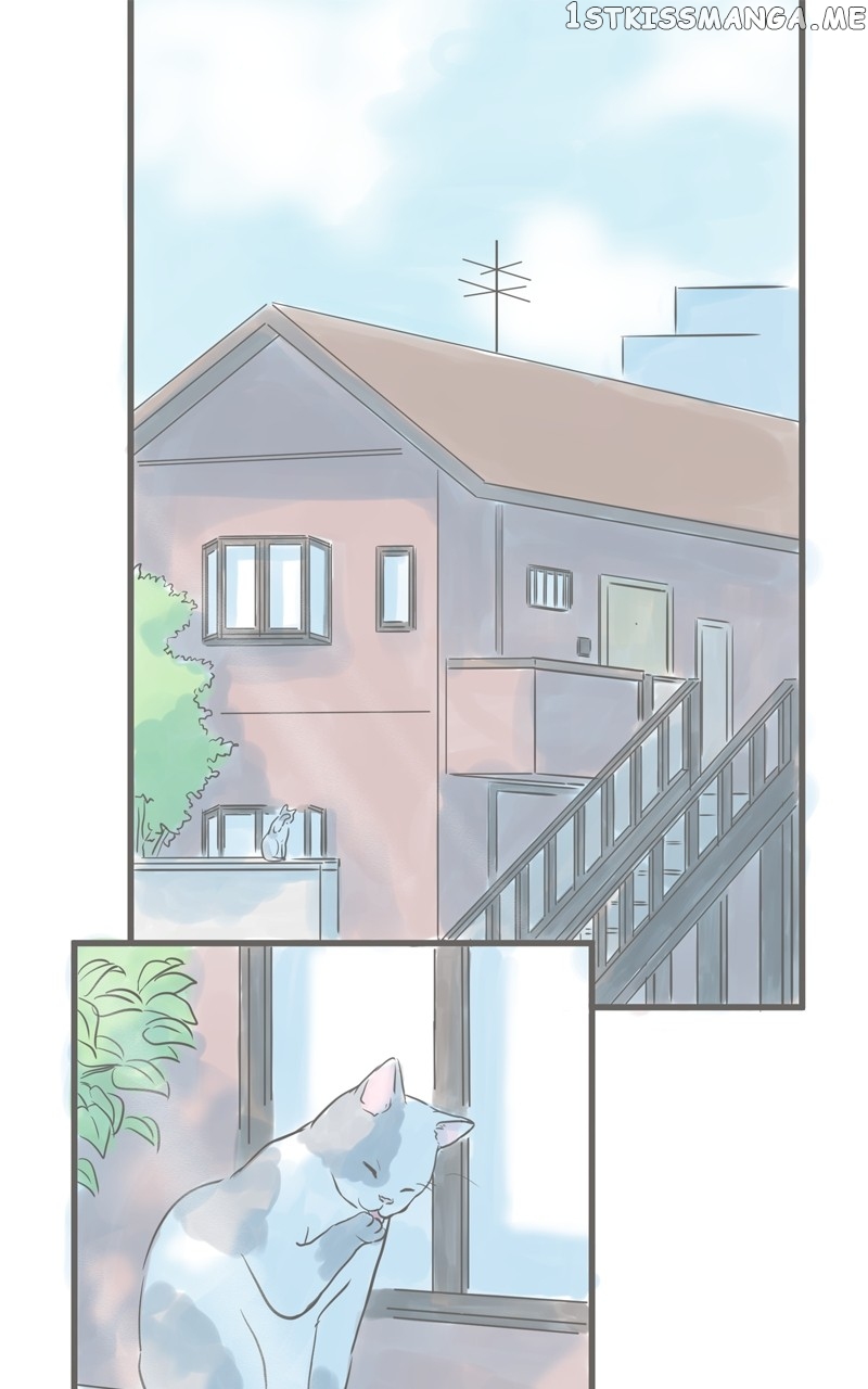 Amid the Changing Seasons Chapter 37 - page 1