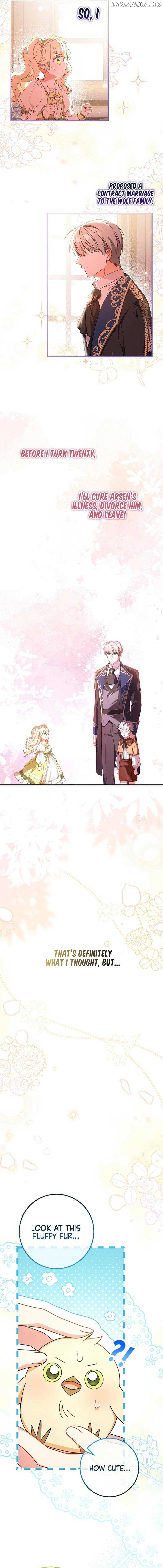 The Beloved New Daughter-in-law Of The Wolf Mansion Chapter 0.1 - page 3