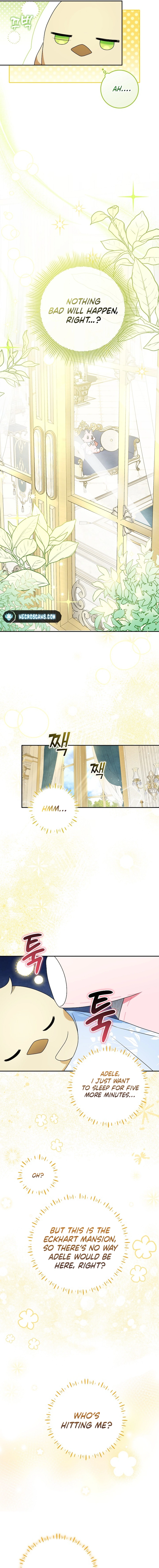 The Beloved New Daughter-in-law Of The Wolf Mansion Chapter 8 - page 5