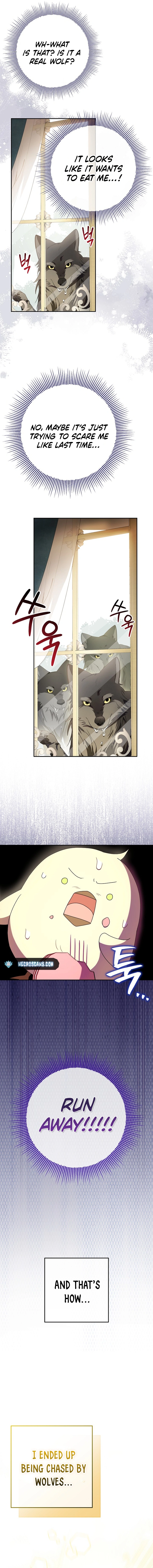 The Beloved New Daughter-in-law Of The Wolf Mansion Chapter 8 - page 9