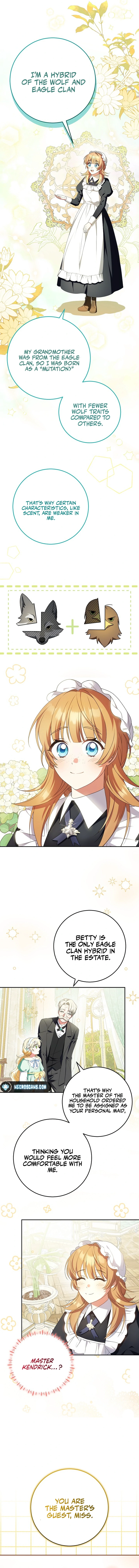 The Beloved New Daughter-in-law Of The Wolf Mansion Chapter 10 - page 13