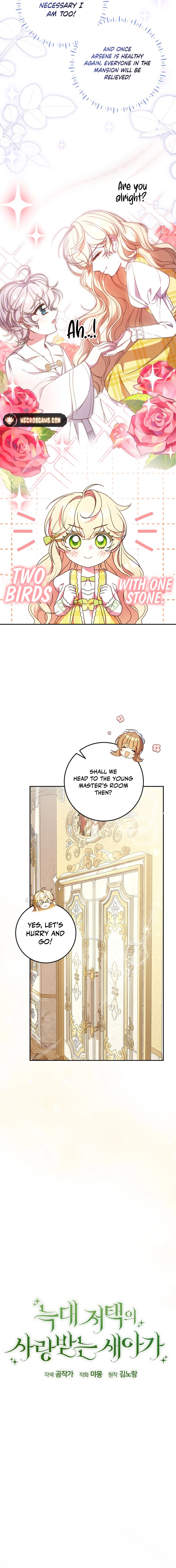 The Beloved New Daughter-in-law Of The Wolf Mansion Chapter 11 - page 3