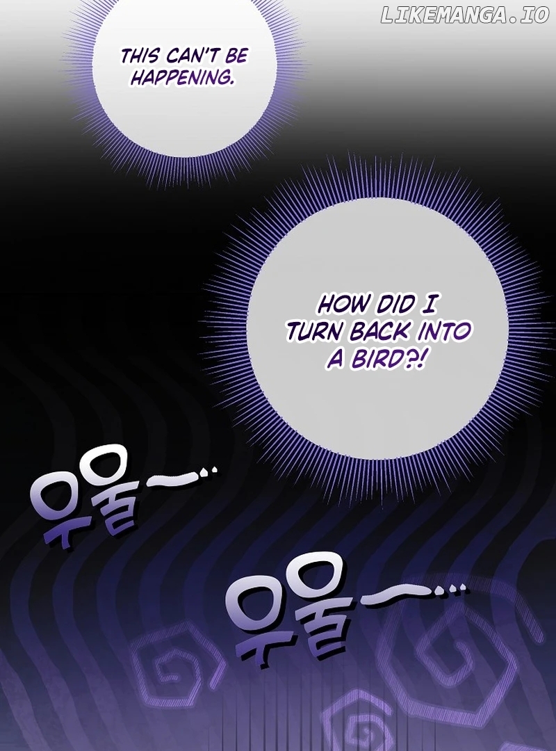 The Beloved New Daughter-in-law Of The Wolf Mansion Chapter 12 - page 13