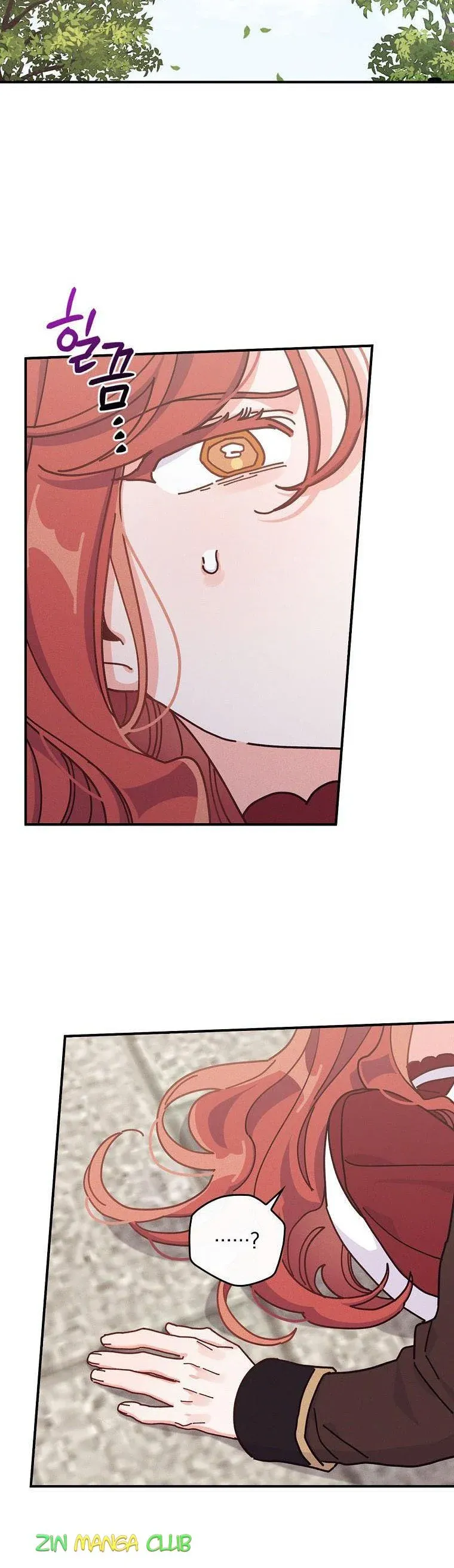 The Villain’s Sister Suffers Today Chapter 49.5 - page 12