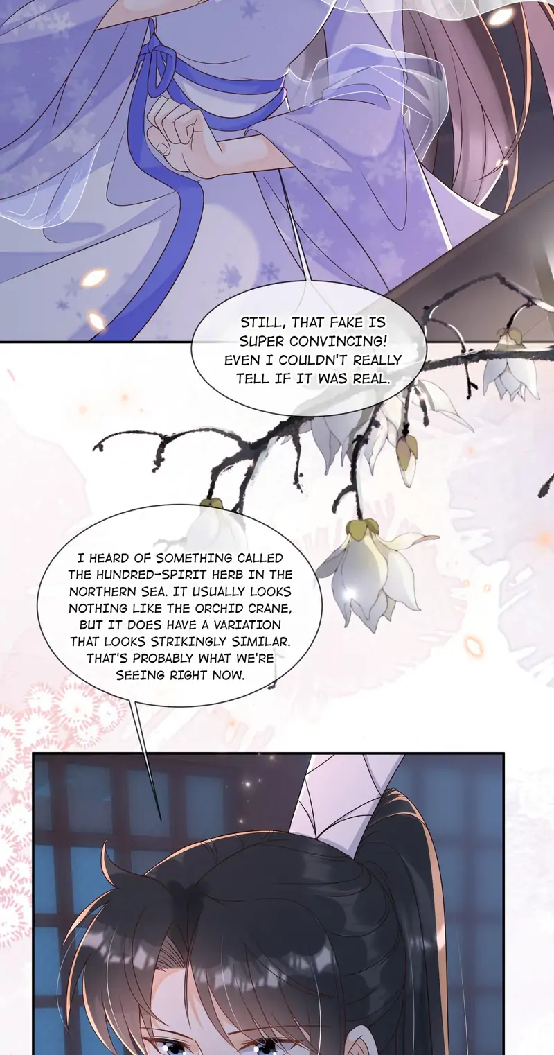 Saving the Beautiful Strong Tragic Second Male Lead Chapter 34 - page 12