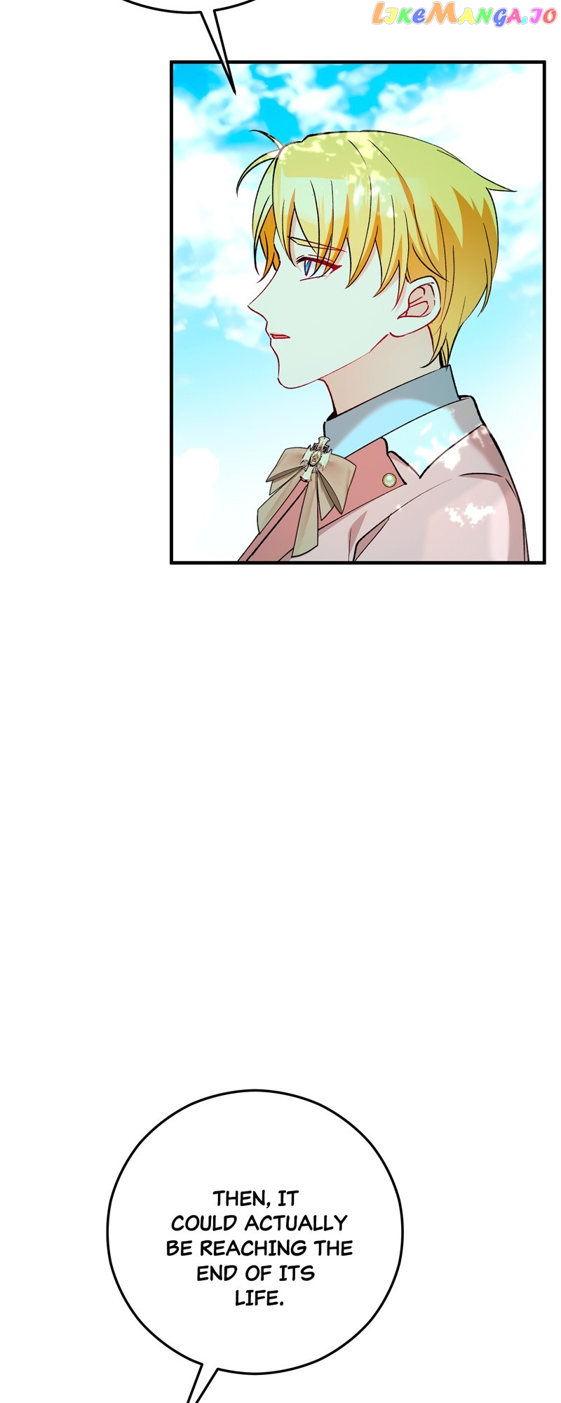 Don’t Look Back, Seisia! Chapter 47 - page 23