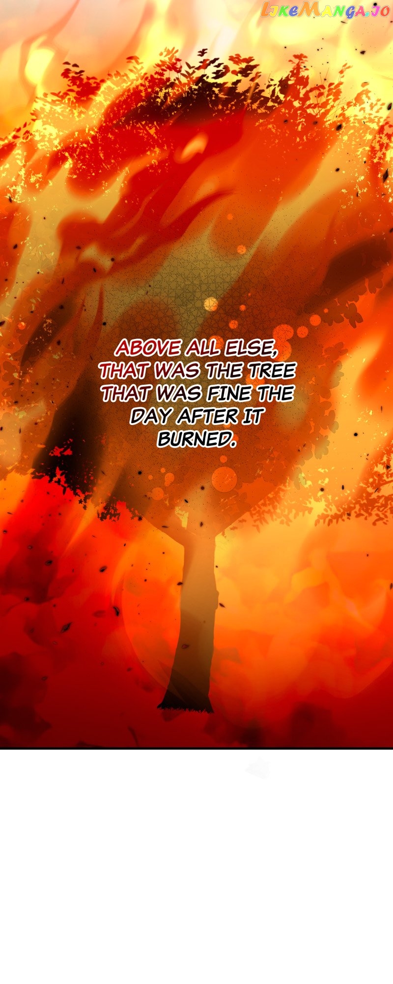 Don’t Look Back, Seisia! Chapter 53 - page 21