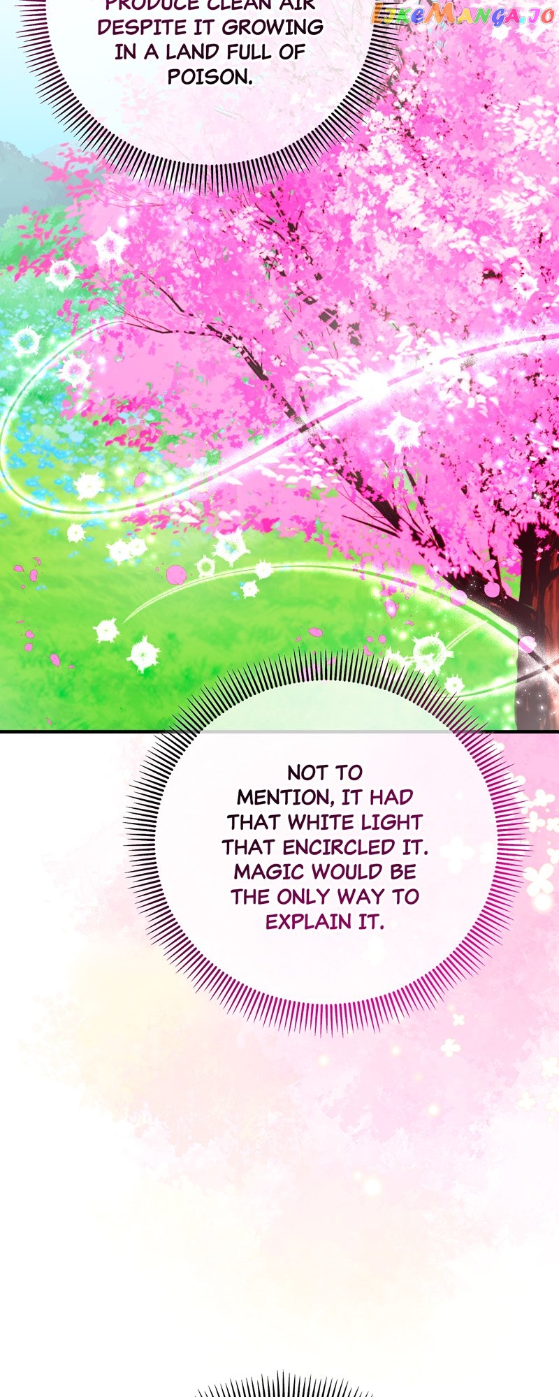 Don’t Look Back, Seisia! Chapter 53 - page 35