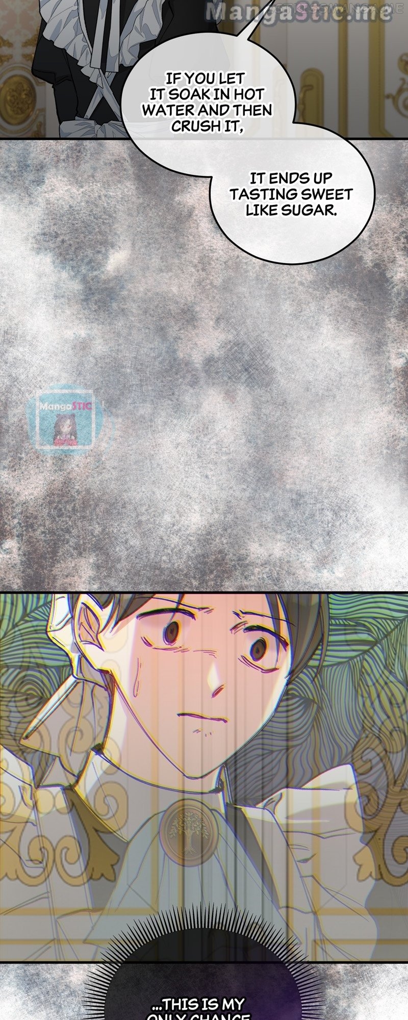 Don’t Look Back, Seisia! Chapter 35 - page 22