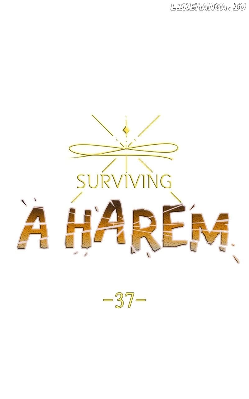 Surviving In A Harem Chapter 37 - page 1