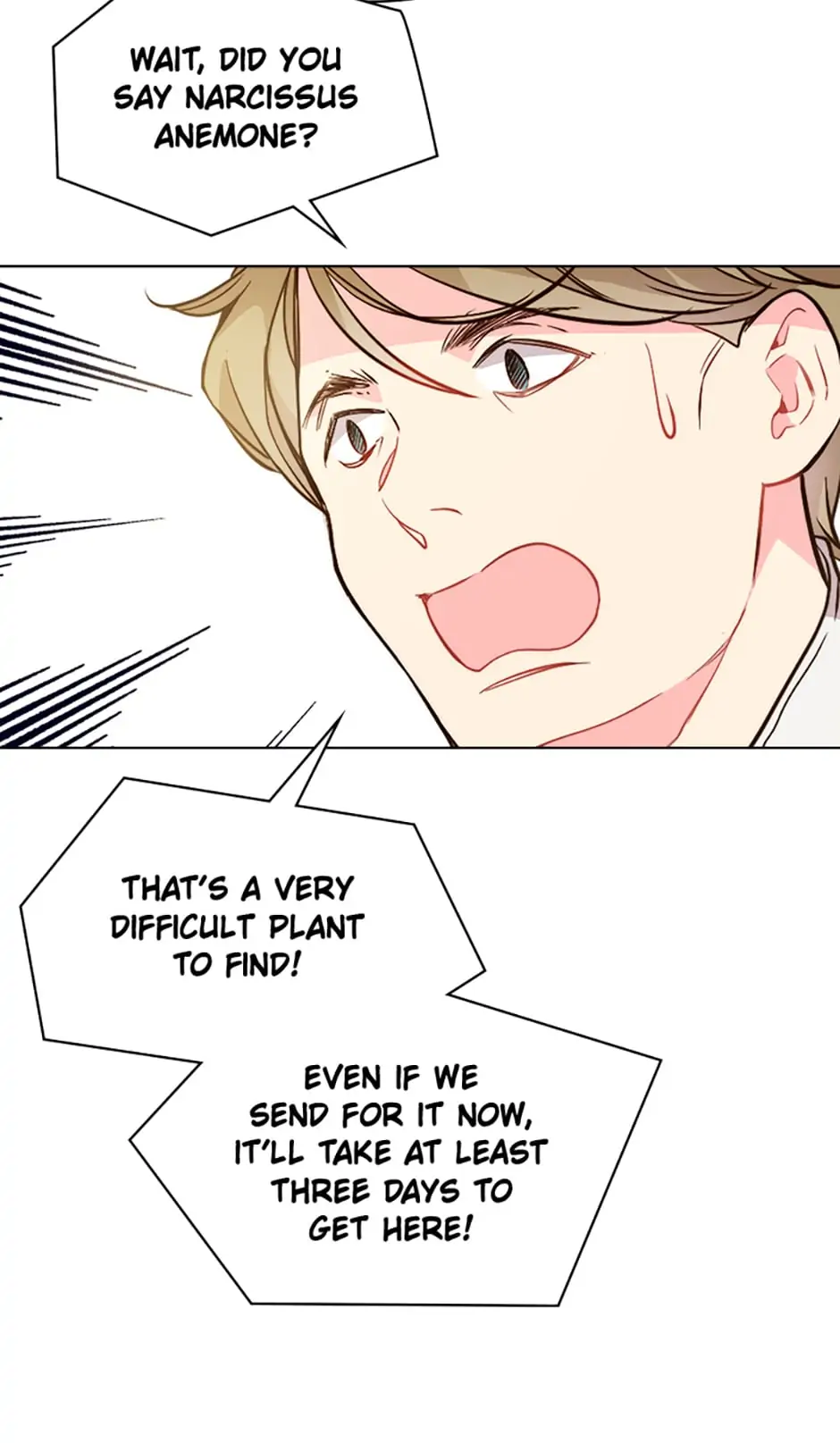 Beatrice – Manhwa Chapter 33 - page 10